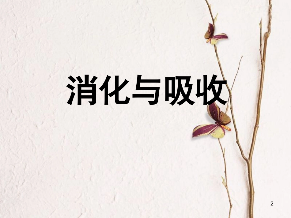 六年级科学上册 2.2 消化与吸收课件1 湘教版[共17页]_第2页