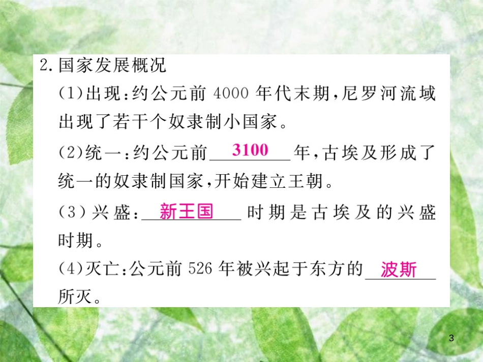 九年级历史上册 第一单元 亚非文明国家 第1课 古代埃及习题优质课件 川教版_第3页