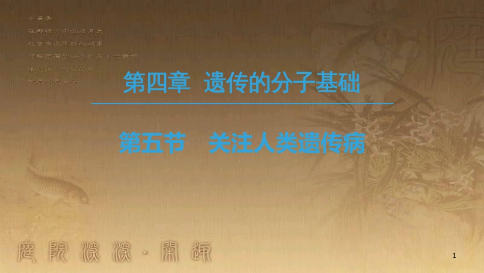 高中生物 第4章 遗传的分子基础 第5节 关注人类遗传病优质课件 苏教版必修2_第1页