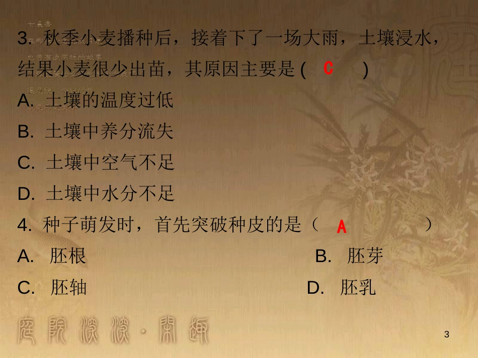 七年级生物上册 第三单元 第二章 第一节 种子的萌发课堂十分钟优质课件 （新版）新人教版_第3页