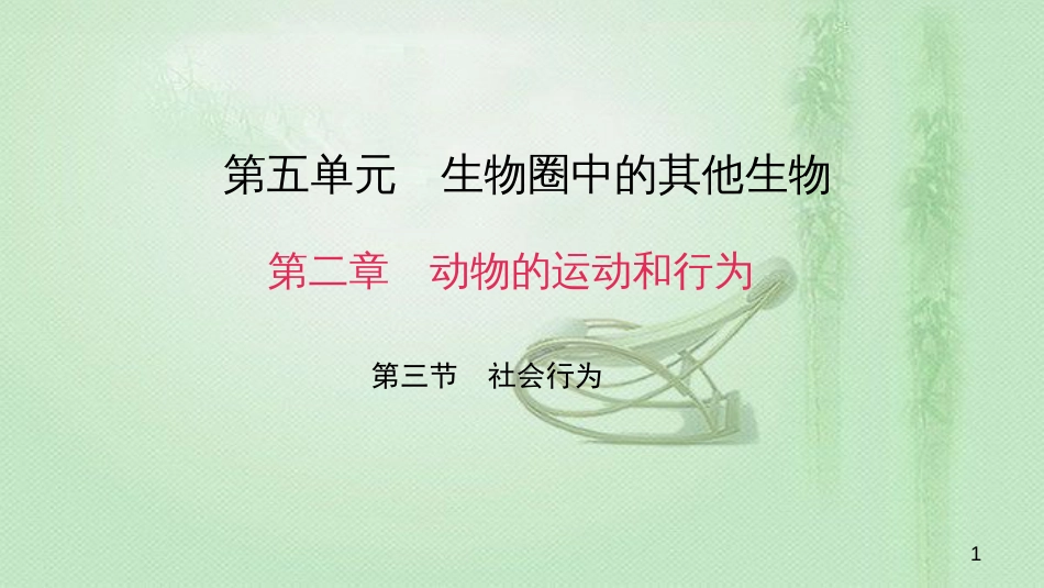 八年级生物上册 第五单元 第二章 第三节 社会行为优质课件 （新版）新人教版_第1页