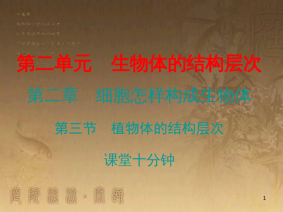 七年级生物上册 第二单元 第二章 第三节 植物体的结构层次课堂十分钟优质课件 （新版）新人教版_第1页