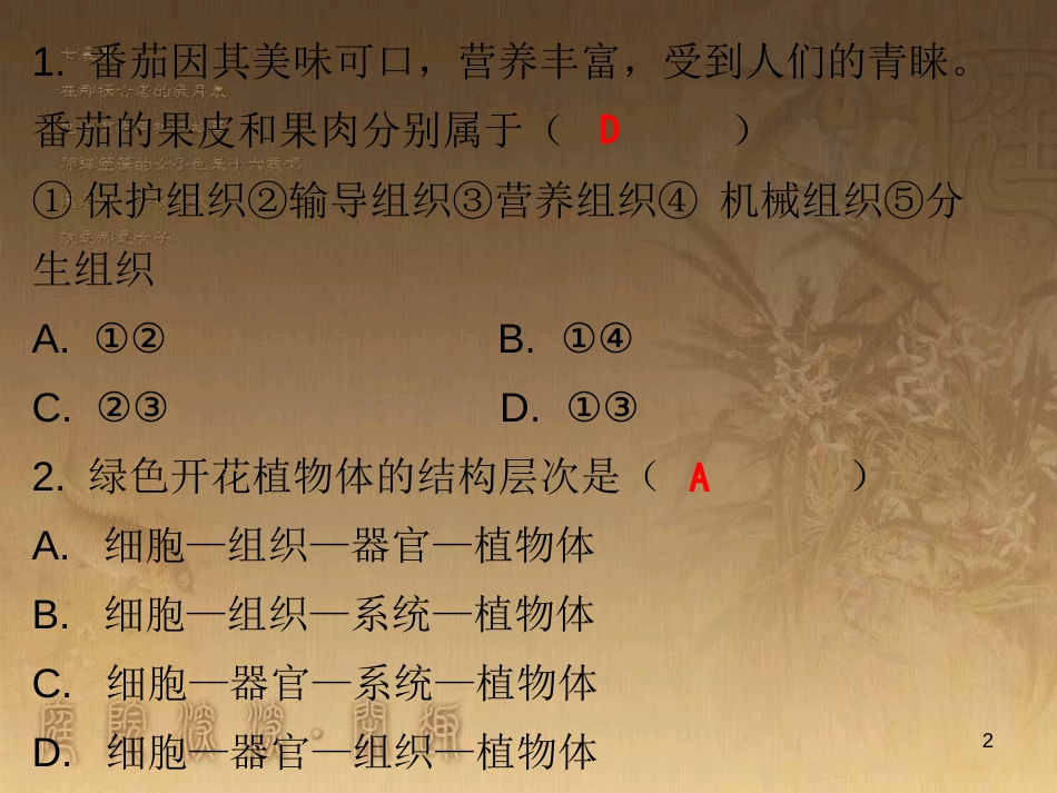 七年级生物上册 第二单元 第二章 第三节 植物体的结构层次课堂十分钟优质课件 （新版）新人教版_第2页