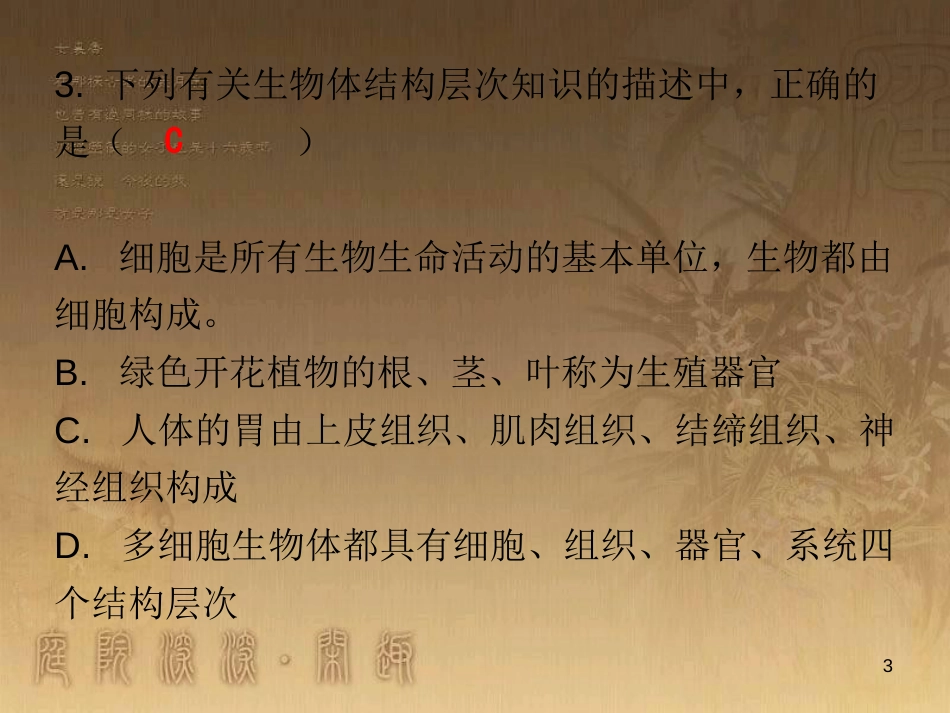 七年级生物上册 第二单元 第二章 第三节 植物体的结构层次课堂十分钟优质课件 （新版）新人教版_第3页
