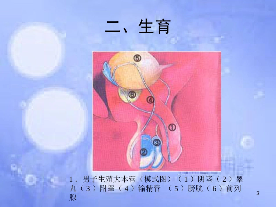 高中生物 第三单元 生物科学与人类健康 第二章 人类生殖工程 3.2 人类生殖工程（1）课件 中图版选修2_第3页