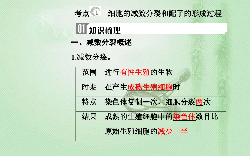 高中生物学业水平复习 专题六 遗传的细胞基础 考点1 细胞的减数分裂和配子的形成过程优质课件_第3页