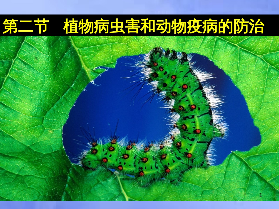 高中生物 第一章 生物科学与农业 1.2 植物病虫害和动物疫病的防治课件 浙科版选修2_第1页