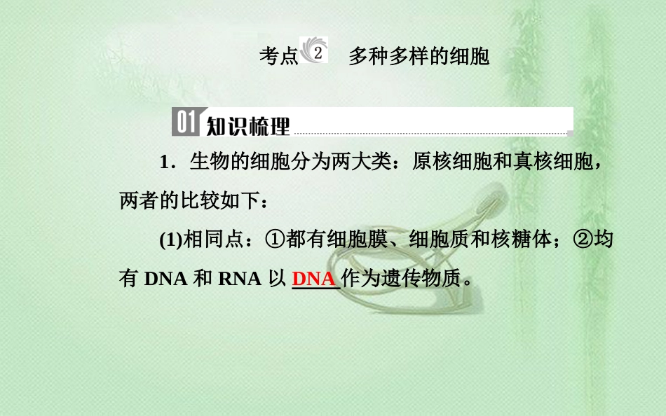 高中生物学业水平复习 专题二 细胞的结构 考点2 多种多样的细胞优质课件_第2页