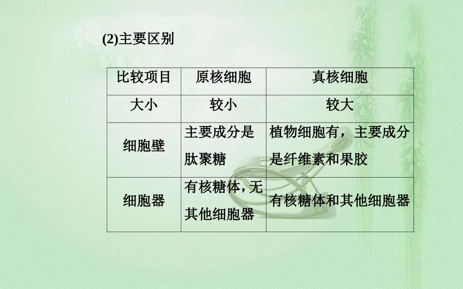 高中生物学业水平复习 专题二 细胞的结构 考点2 多种多样的细胞优质课件_第3页