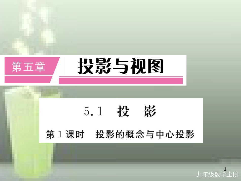 九年级数学上册 5.1 投影 第1课时 投影的概念与中心投影讲练优质课件 （新版）北师大版_第1页