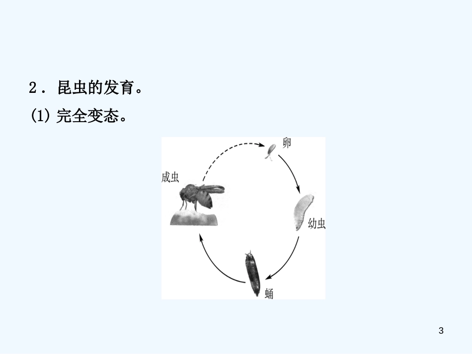 （济宁专版）2019年中考生物 第四单元 第二章 第三章复习优质课件_第3页