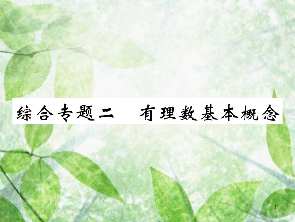 七年级数学上册 综合专题二 有理数基本概念优质课件 （新版）北师大版_第1页