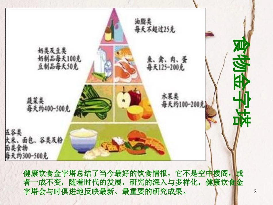 六年级科学上册 2.3 饮食与健康课件1 湘教版[共17页]_第3页