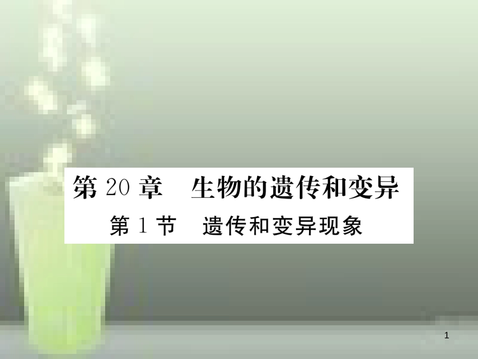 八年级生物上册 6.20.1 遗传和变异现象优质课件 （新版）北师大版_第1页