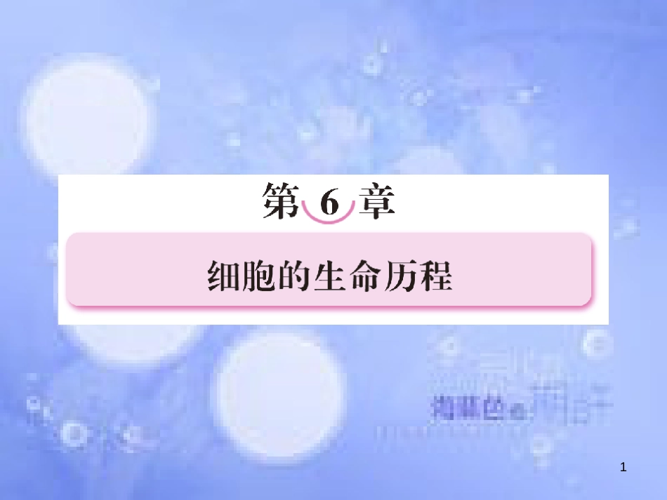 高考生物一轮复习 第六章 细胞的生命历程 6.1 细胞的增殖课件 新人教版必修1_第1页