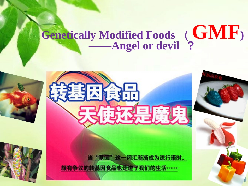英文PPT转基因食品_第2页