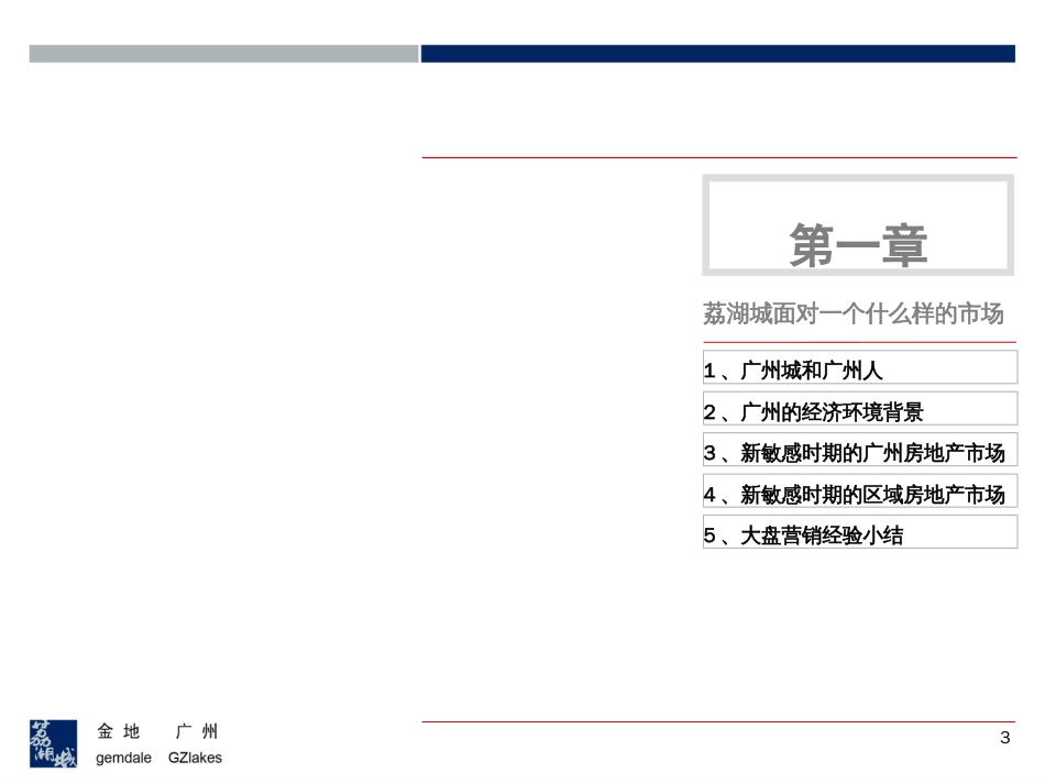 世联 金地项目[共230页]_第3页