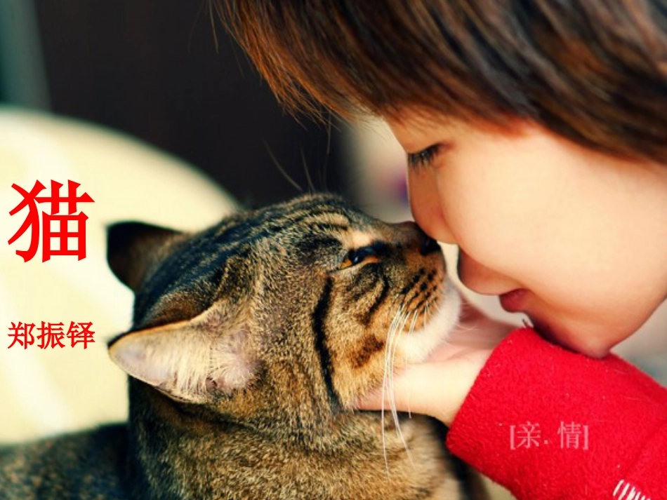 《猫》ppt教学课件[共18页]_第1页