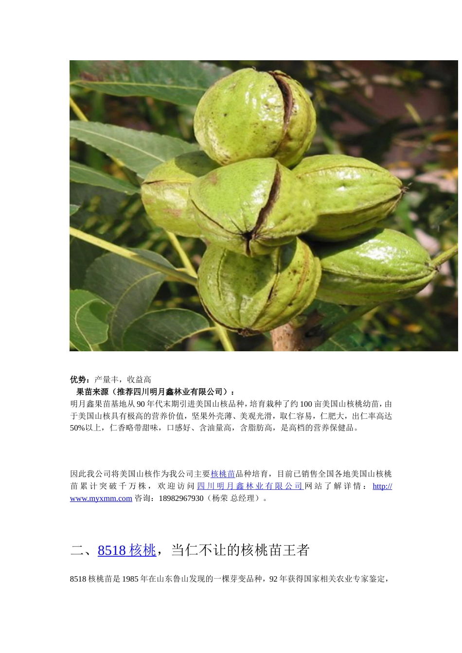 果苗种植投资分析详细版：种什么核桃苗挂果最快_第2页