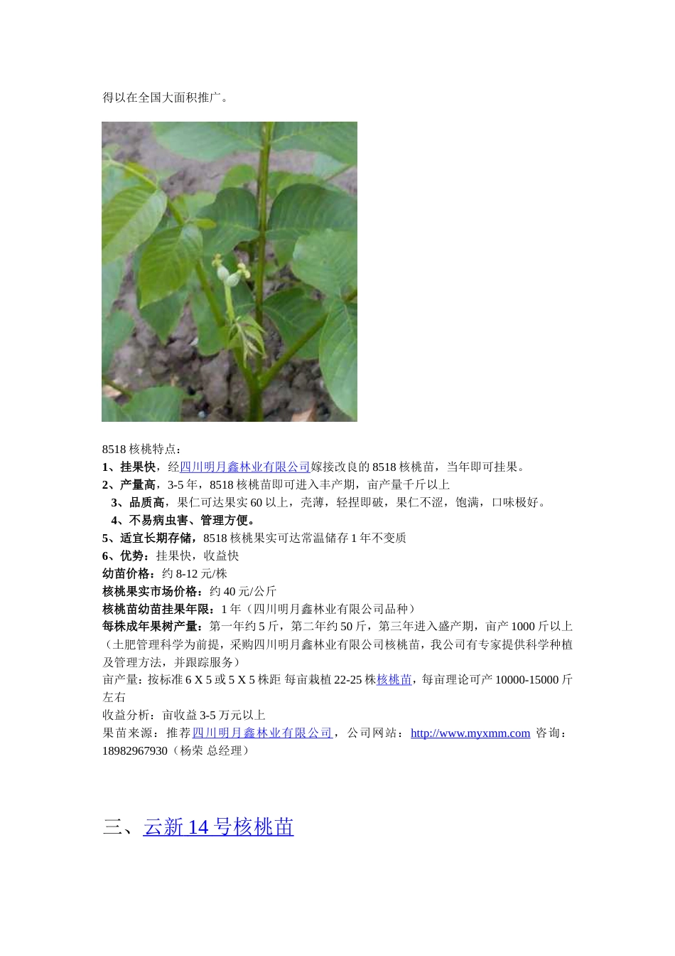 果苗种植投资分析详细版：种什么核桃苗挂果最快_第3页