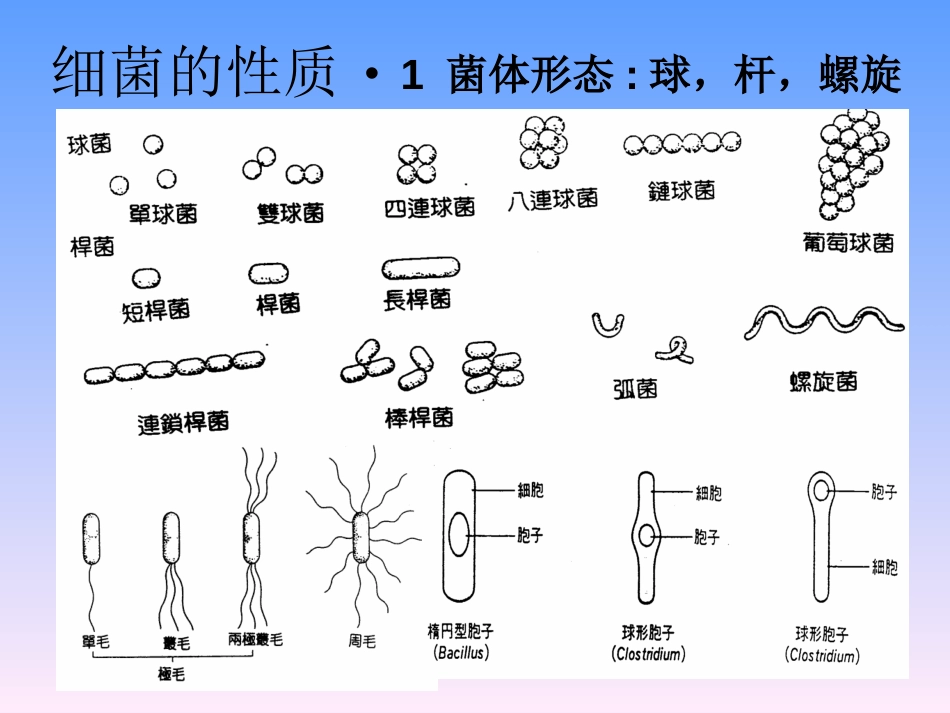 2010药典微生物培训资料_第2页