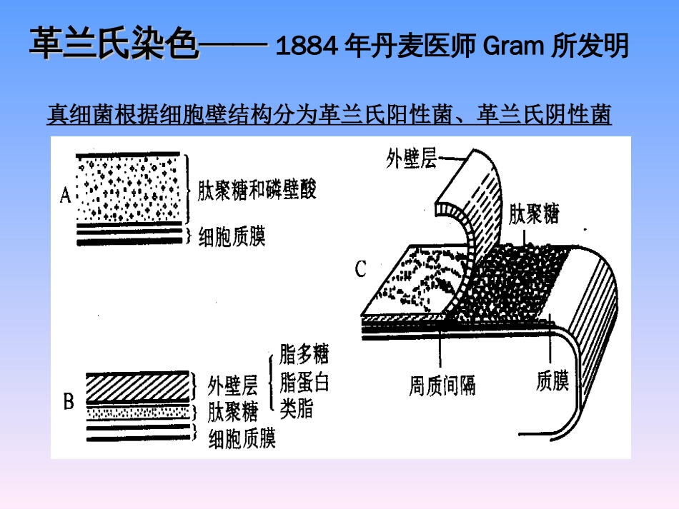 2010药典微生物培训资料_第3页