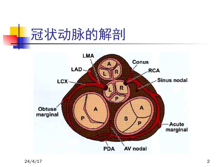 AMI的心电图应用[共128页]_第2页