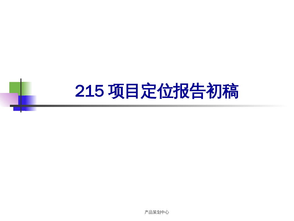 215项目定位报告初稿0405_第1页