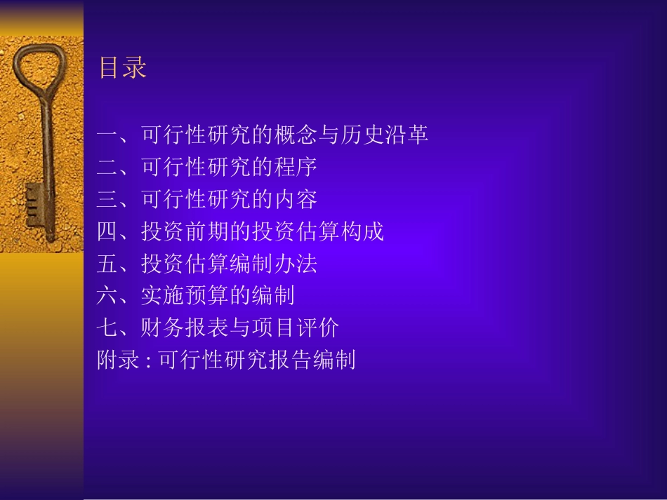 可行性研究与投资估算[共91页]_第2页