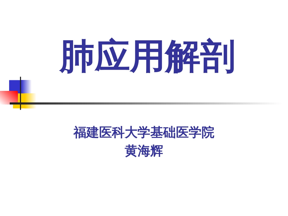 肺的应用解剖[共20页]_第1页