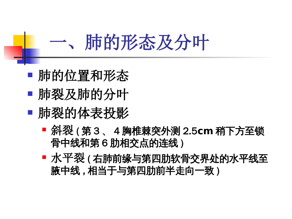 肺的应用解剖[共20页]_第2页