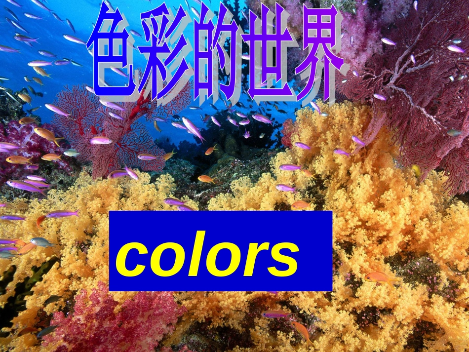 七年级上册英语预备篇unit3whatcolorisit课件_第3页