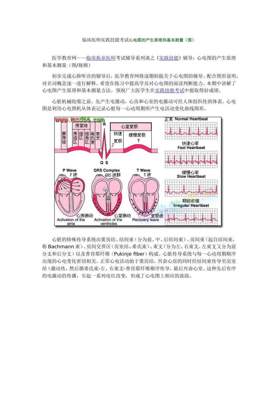 临床医师实践技能考试心电图的产生原理和基本测量（图）[共4页]_第1页