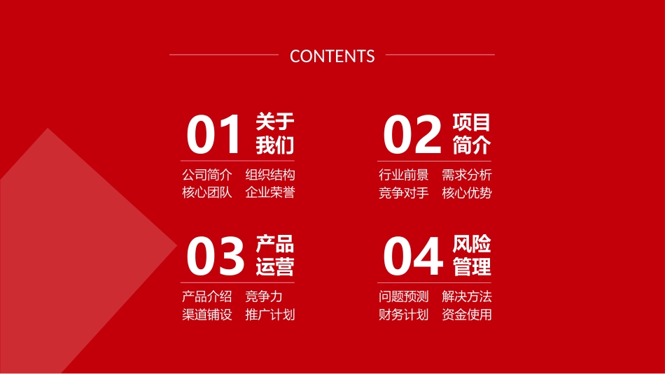 商业计划书模板[共27页]_第2页