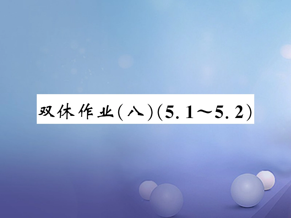 七级数学上册 双休作业（八）（5.5.）课件 （新版）湘教版_第1页