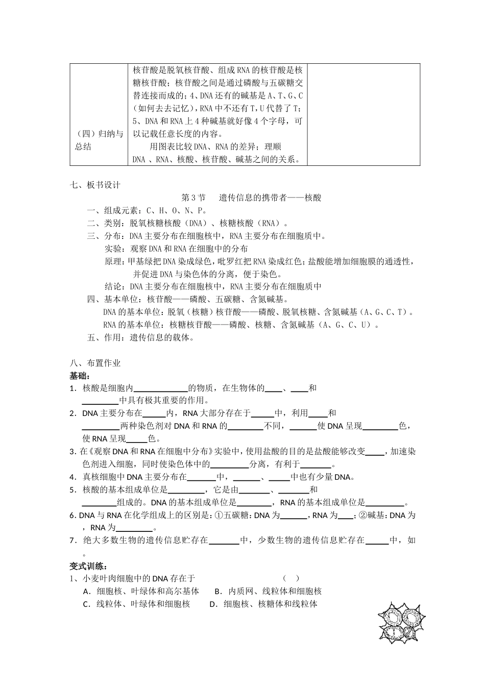 遗传信息的携带者——核酸》教案人教版必修1_第2页