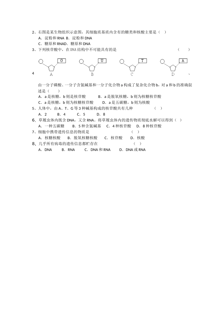 遗传信息的携带者——核酸》教案人教版必修1_第3页