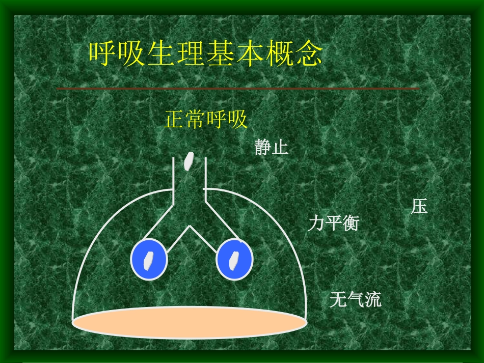 无创正压通气技术的临床应用技巧及其进展_第2页