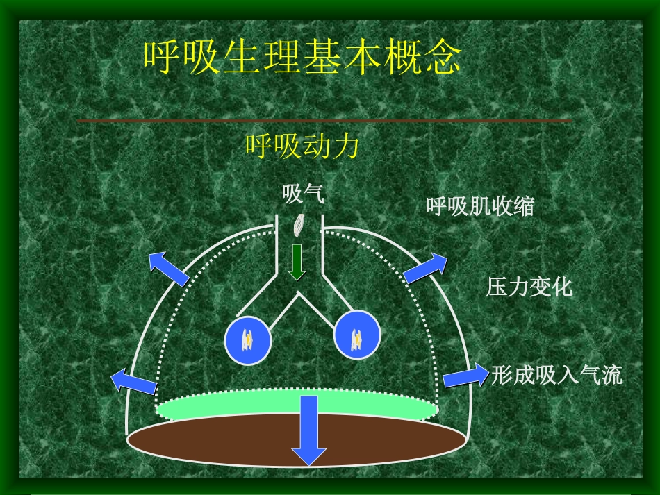 无创正压通气技术的临床应用技巧及其进展_第3页