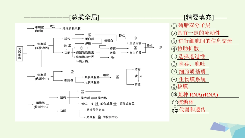 2018版高三生物一轮复习 第2单元 单元高效整合课件 新人教版必修_第2页
