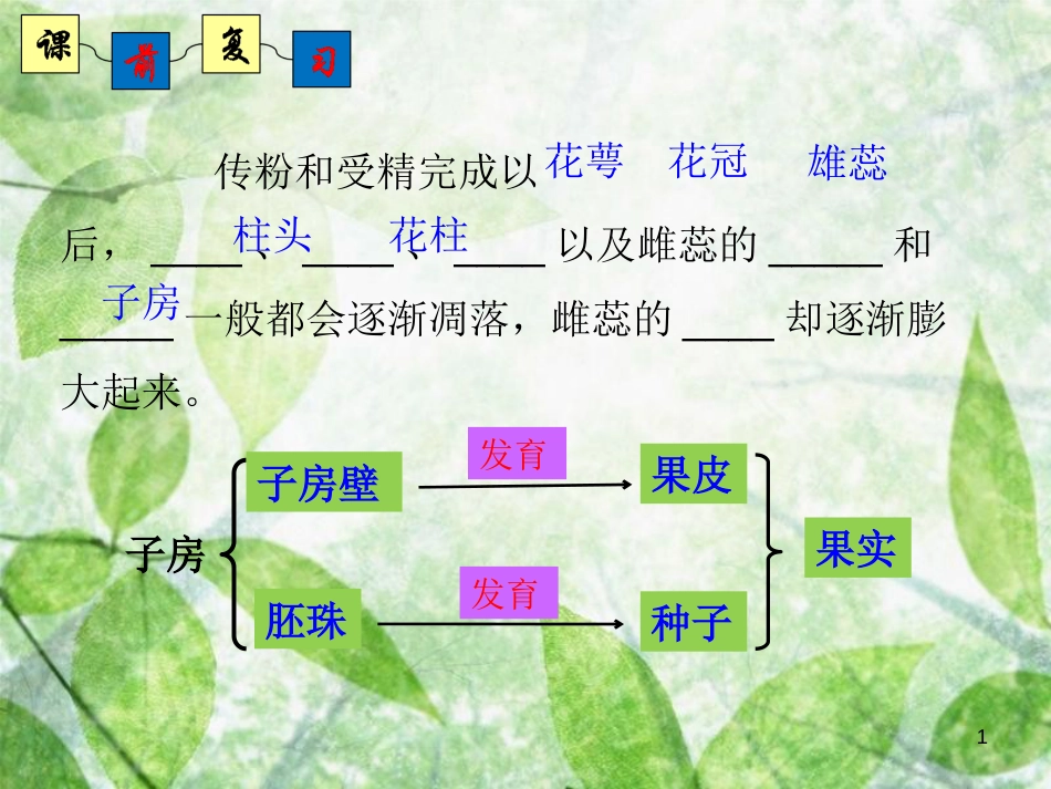 八年级生物上册 4.1.4《种子的萌发》优质课件2 （新版）济南版_第1页