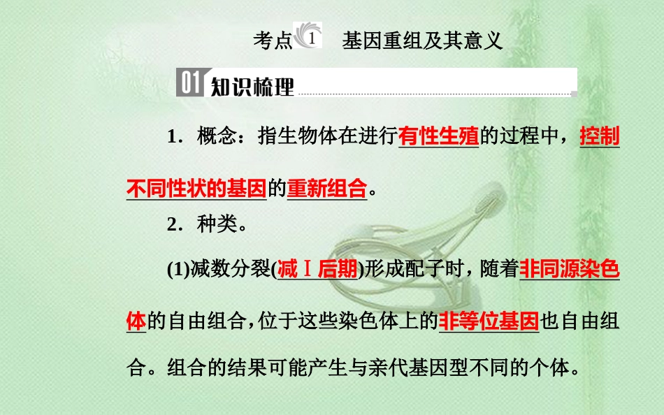 高中生物学业水平复习 专题九 生物的变异 考点1 基因重组及其意义优质课件_第3页