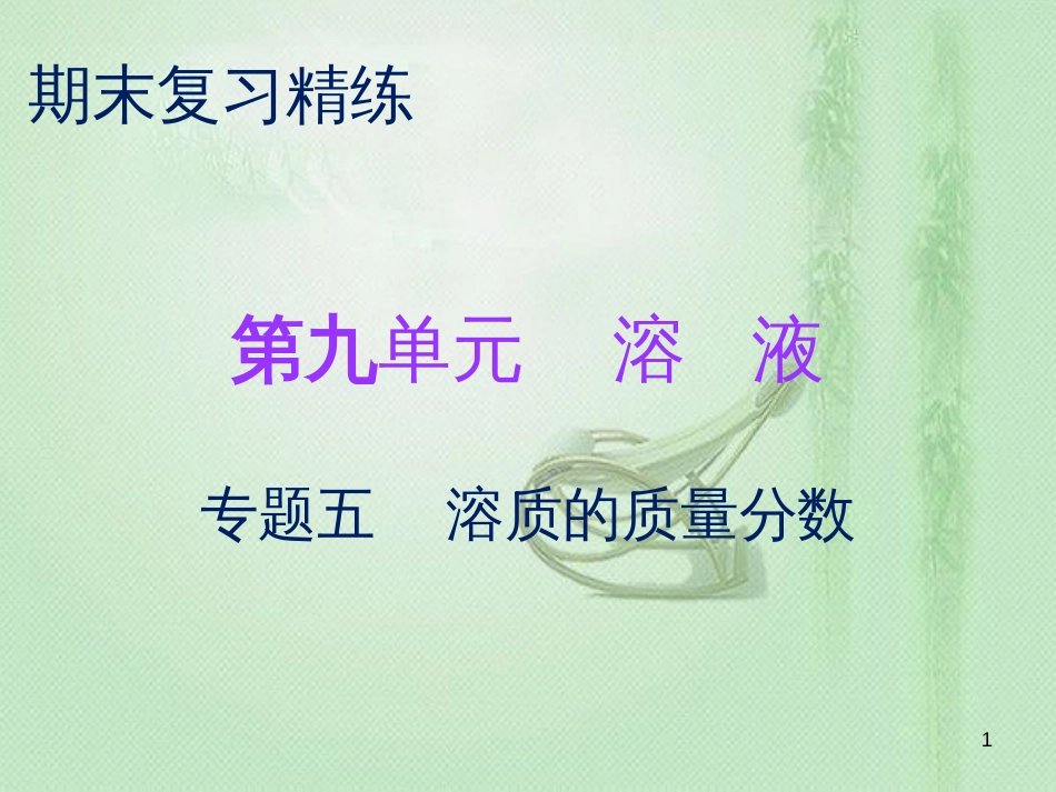 九年级化学下册 期末复习精炼 第九单元 溶液 专题五 溶质的质量分数优质课件 （新版）新人教版_第1页