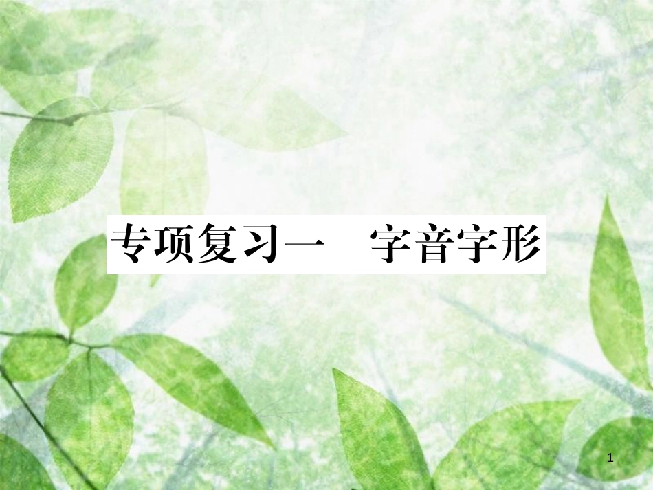 七年级语文上册 专项复习一 字音字形习题优质课件 新人教版_第1页