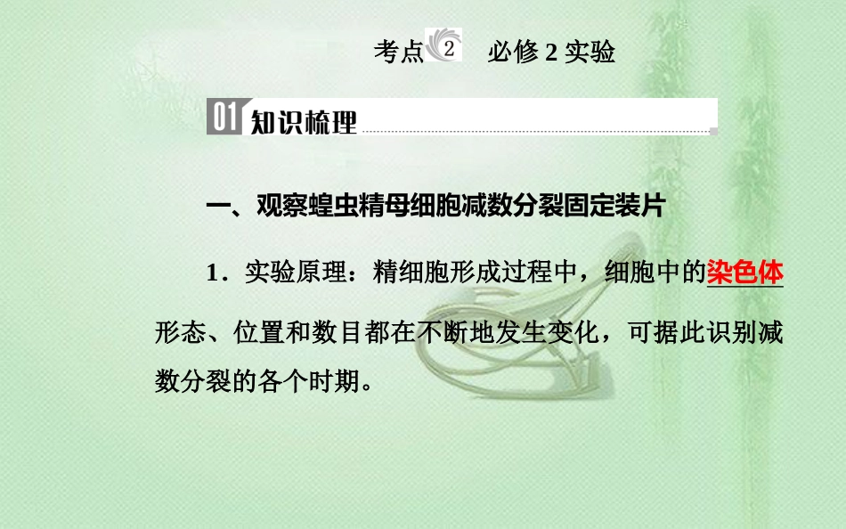 高中生物学业水平复习 专题十七 生物学实验 考点2 必修2实验优质课件_第1页