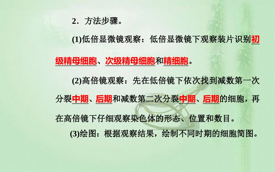 高中生物学业水平复习 专题十七 生物学实验 考点2 必修2实验优质课件_第2页