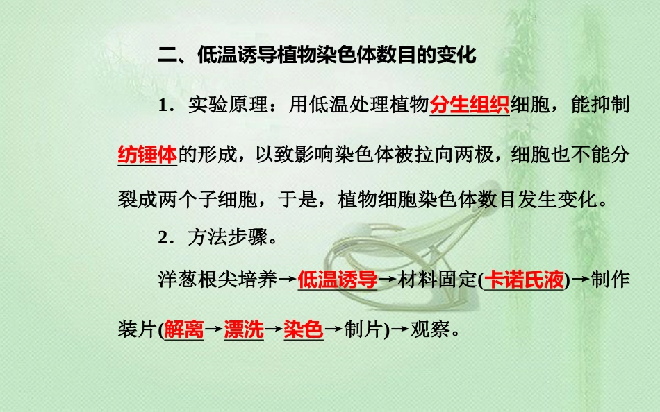 高中生物学业水平复习 专题十七 生物学实验 考点2 必修2实验优质课件_第3页