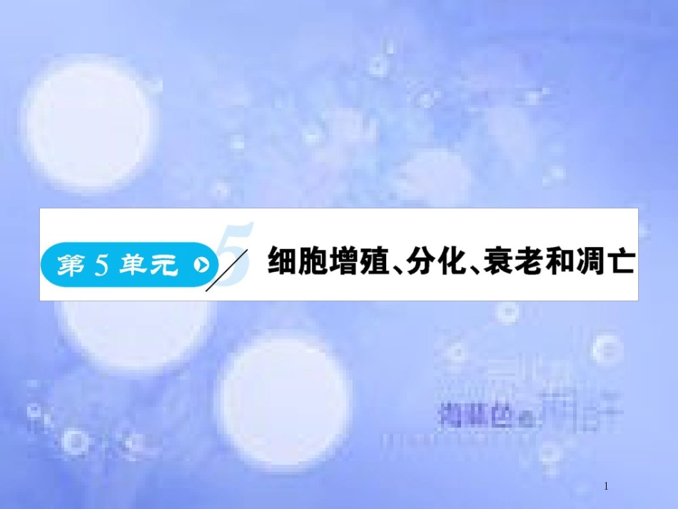 高中生物 第5单元 细胞增殖、分化、衰老和凋亡（第1课时）课件 苏教版必修1_第1页