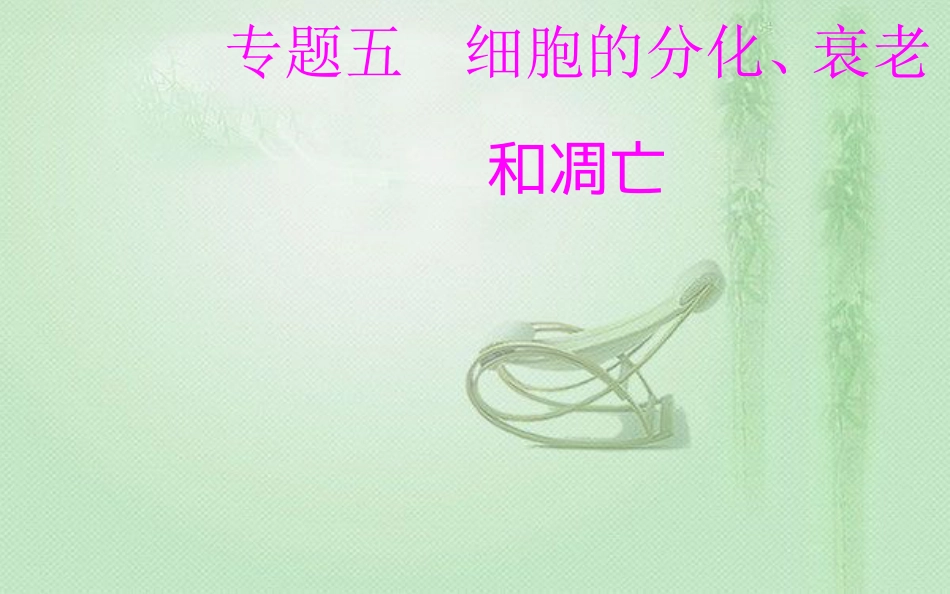 高中生物学业水平复习 专题五 细胞的分化、衰老和凋亡 考点4 癌细胞的主要特征及防治优质课件_第1页