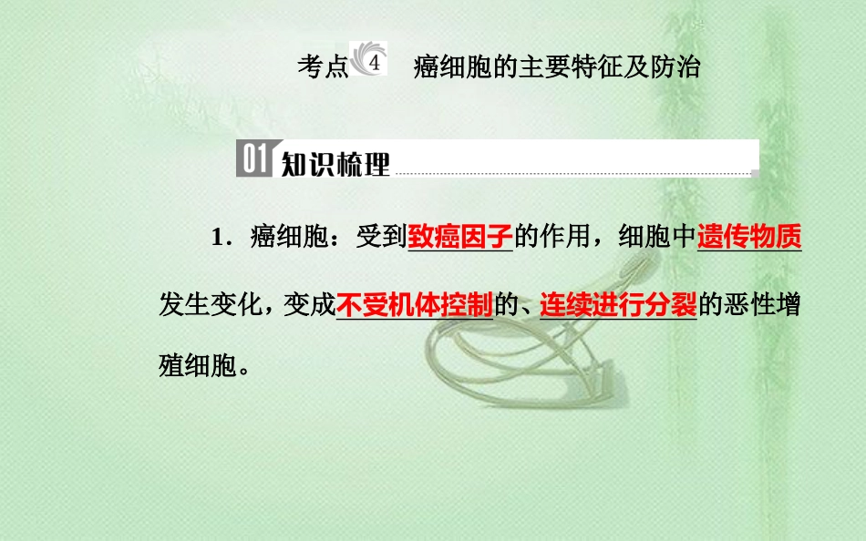 高中生物学业水平复习 专题五 细胞的分化、衰老和凋亡 考点4 癌细胞的主要特征及防治优质课件_第2页